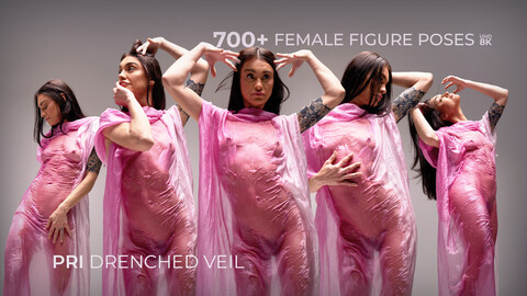 700+ Female Figure Poses - Pri Drenched Veil