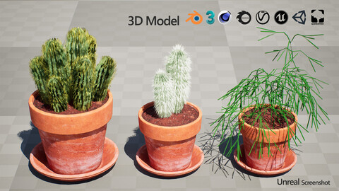 Realistic 3D Indoor Cacti