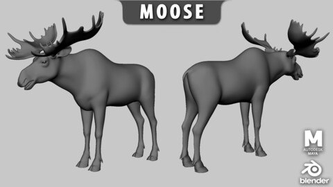 Moose - Topology + UV map