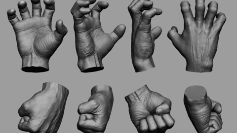 Male Hand Sculpt in 2 poses