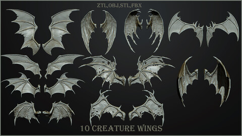 10 Creature wings  ZTL+OBJ+STL+FBX