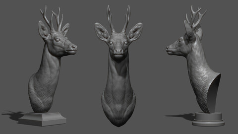 Roe deer bust