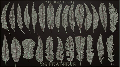 26 Feathers 3d model ZTL,OBJ,STL,FBX