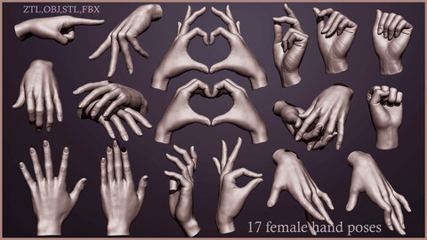 17 Female hand poses 3D model ZTL,OBJ,STL,FBX