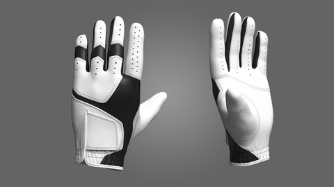 Gloves 3D Model