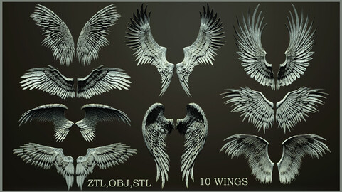 10 Wings 3d model ZTL+OBJ+STL