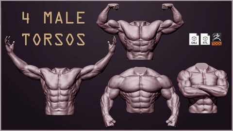 4 Male torsos 3D models