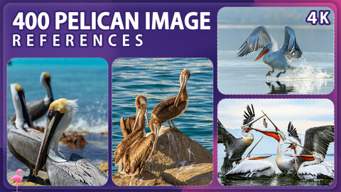 400 Pelican Reference Pack – Vol 1