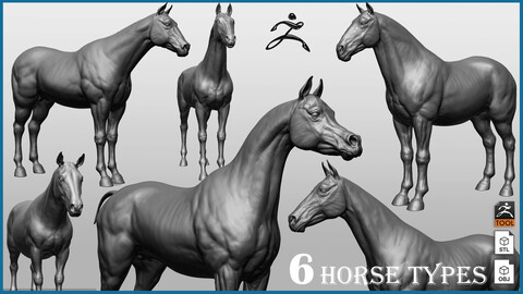 Horse Breeds Collection - 6 horses - ZTL+OBJ+STL