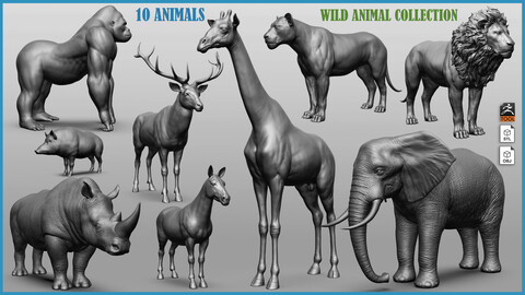 Wild animal collection - 10 animals ZTL+OBJ+STL