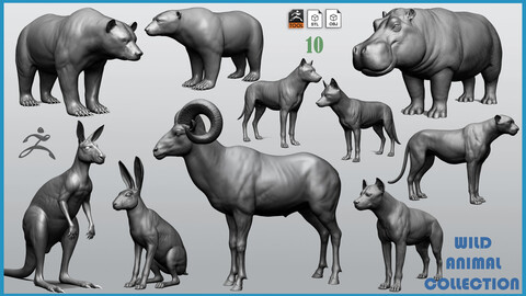 Wild animal collection - 10 animals VOL-2 ZTL+OBJ+STL