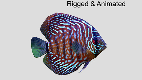 Discus1