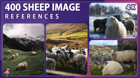 400 Sheep Reference Pack – Vol 1