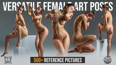 500+ Versatile Female Art Poses