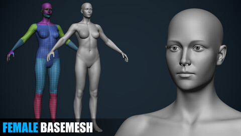 Female Basemesh - Emma