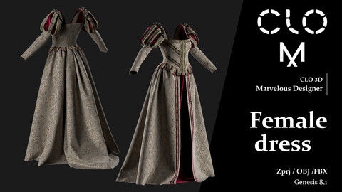 Female dress/ Marvelous Designer/Clo3D project file + OBJ, FBX