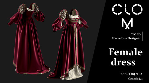 Female  dress / Marvelous Designer/Clo3D project file + OBJ, FBX