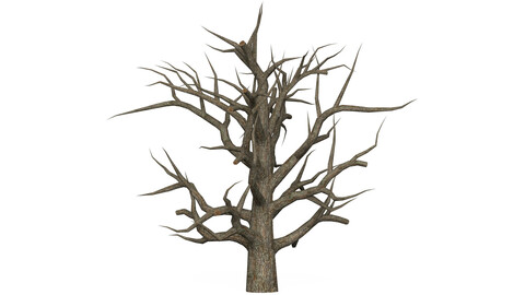 Game Ready Dead Tree 05