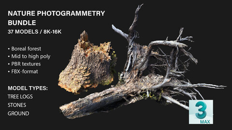 Nature Photogrammetry Bundle - 37 Models / 16K (Free Sample)