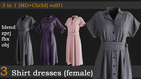 3 Shirt dresses(female) [zprj+fbx+obj+blend] vol01