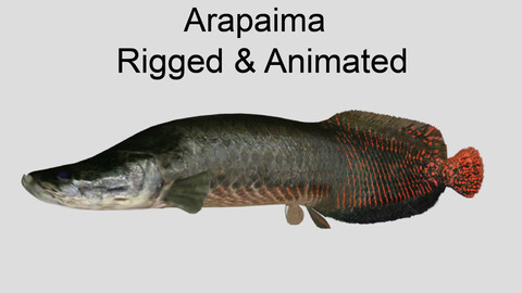 arapaima