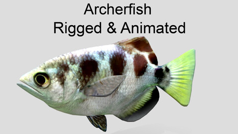 archerfish