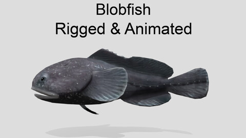 blobfish