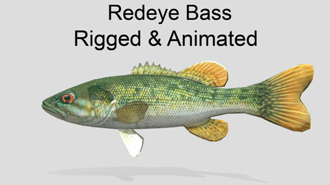 Redeye Bass