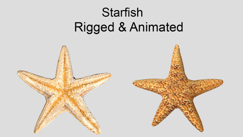 starfish