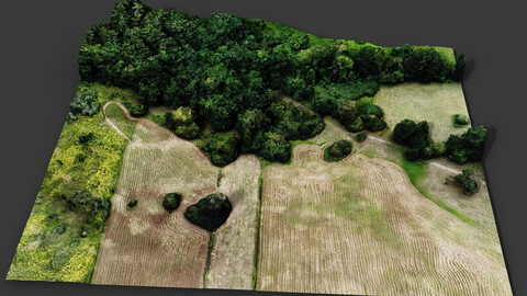 trees terrain lpoly forest area dronescan part5