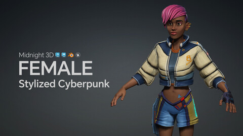 M3D Stylized Cyberpunk Female