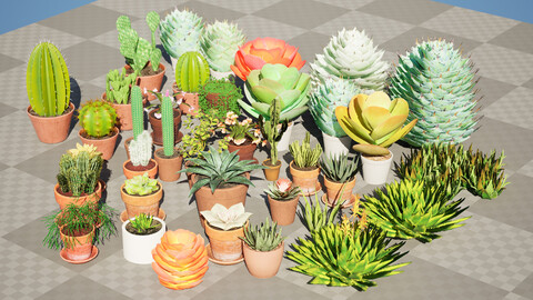 Low-Poly Potted Cactus and Succulent 3D Collection