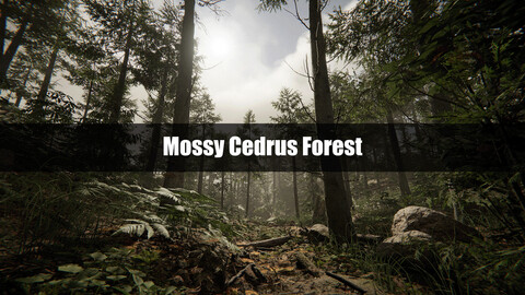 Mossy Cedrus Forest