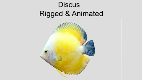 Discus