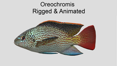 oreochromis