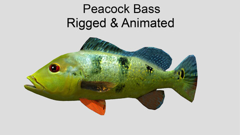 peacock bass