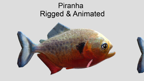 piranha