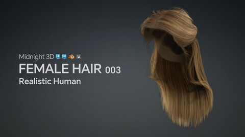 M3D Realistic Female Hair 003