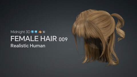 M3D Realistic Female Hair 009