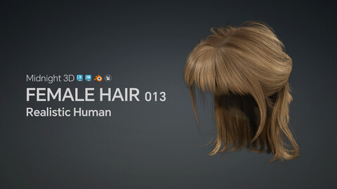 M3D Realistic Female Hair 013