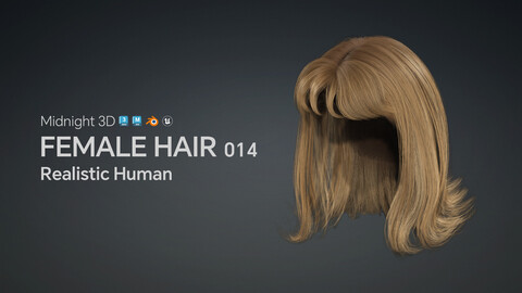 M3D Realistic Female Hair 014