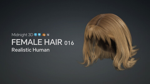 M3D Realistic Female Hair 016