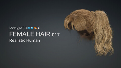 M3D Realistic Female Hair 017