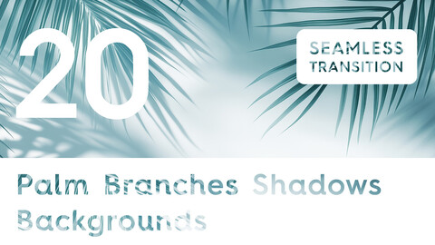 20 Palm Branches Shadows Backgrounds