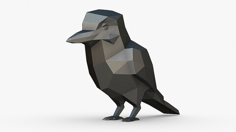 kookaburra low poly