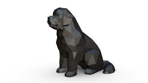 newfoundland dog