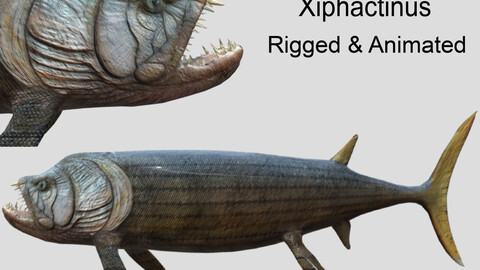 Xiphactinus