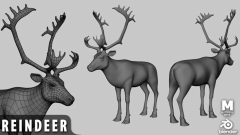 ReinDeer Basemesh  - Topology + UV Map