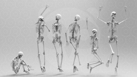 Skeleton Poses