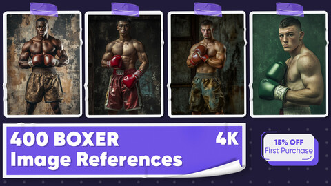 400 Boxer Image References - Vol 01